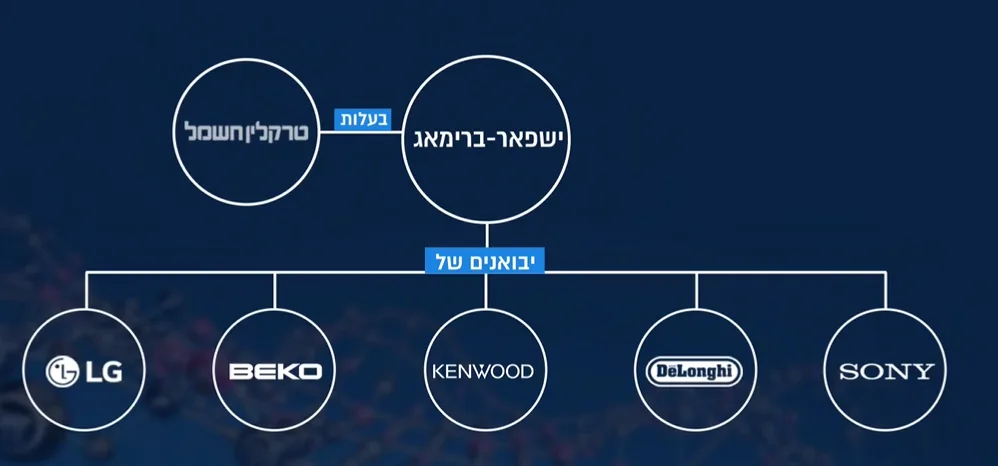 מפת האינטרסים בשוק מוצרי החשמל