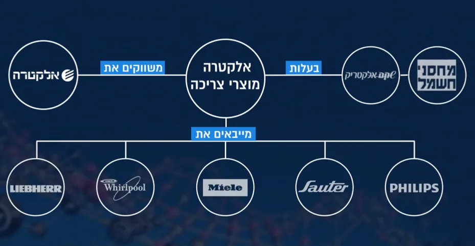 מפת האינטרסים בשוק מוצרי החשמל