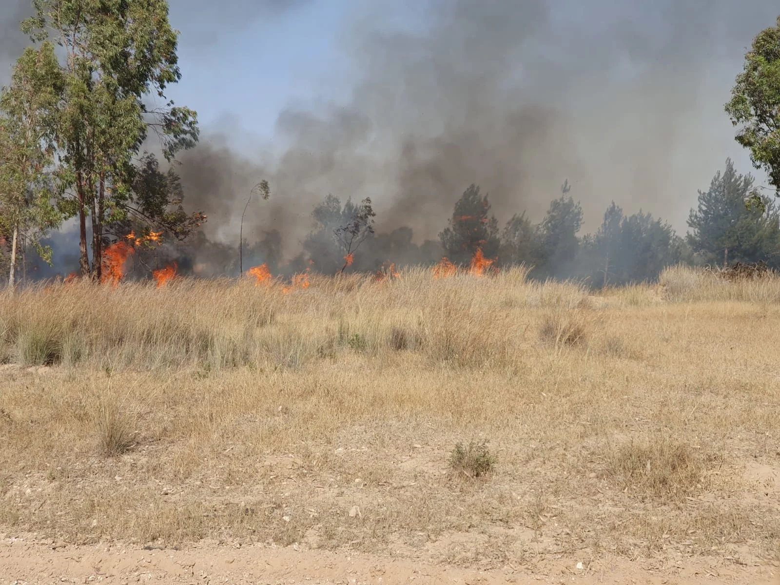 שריפה שפרצה במועצה איזורית אשכול בעקבות בלוני תבערה