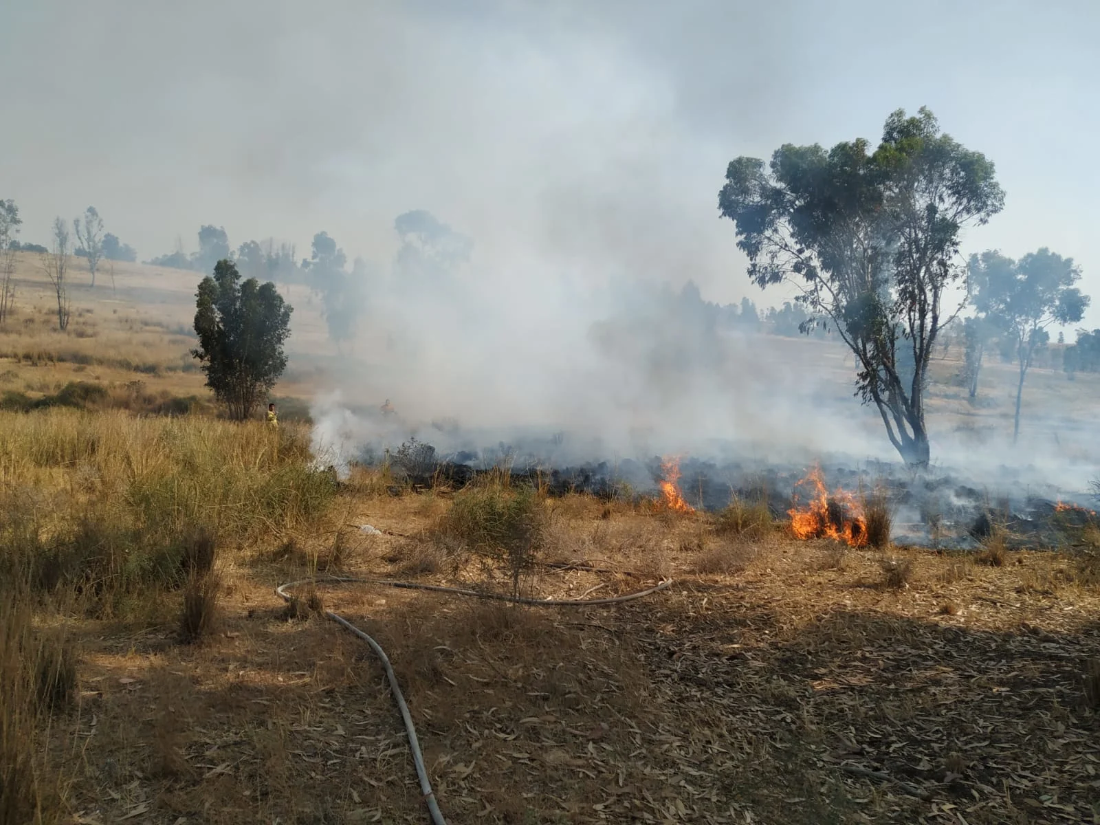 שריפה שפרצה במועצה איזורית אשכול בעקבות בלוני תבערה