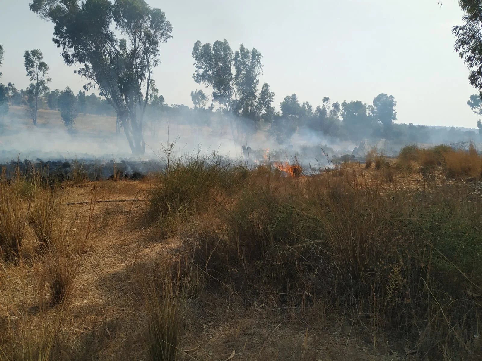 שריפה שפרצה במועצה איזורית אשכול בעקבות בלוני תבערה