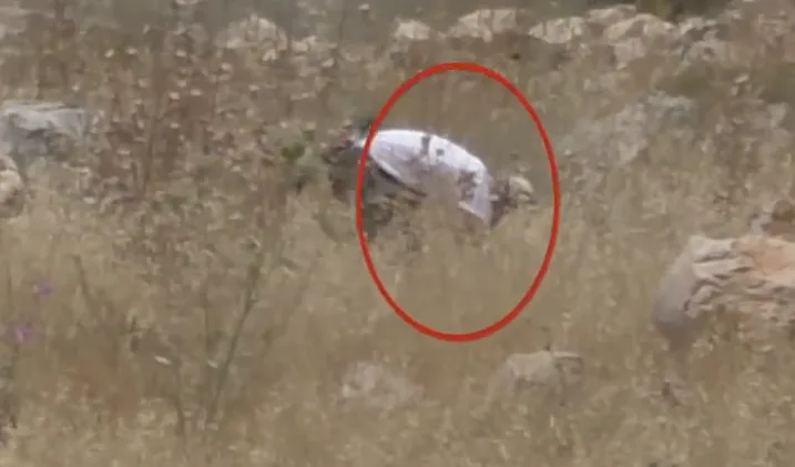 מתנחל מצית שדה לא מעובד באדמות בורין