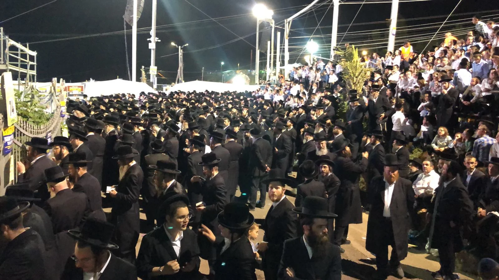 ההילולה בהר מירון