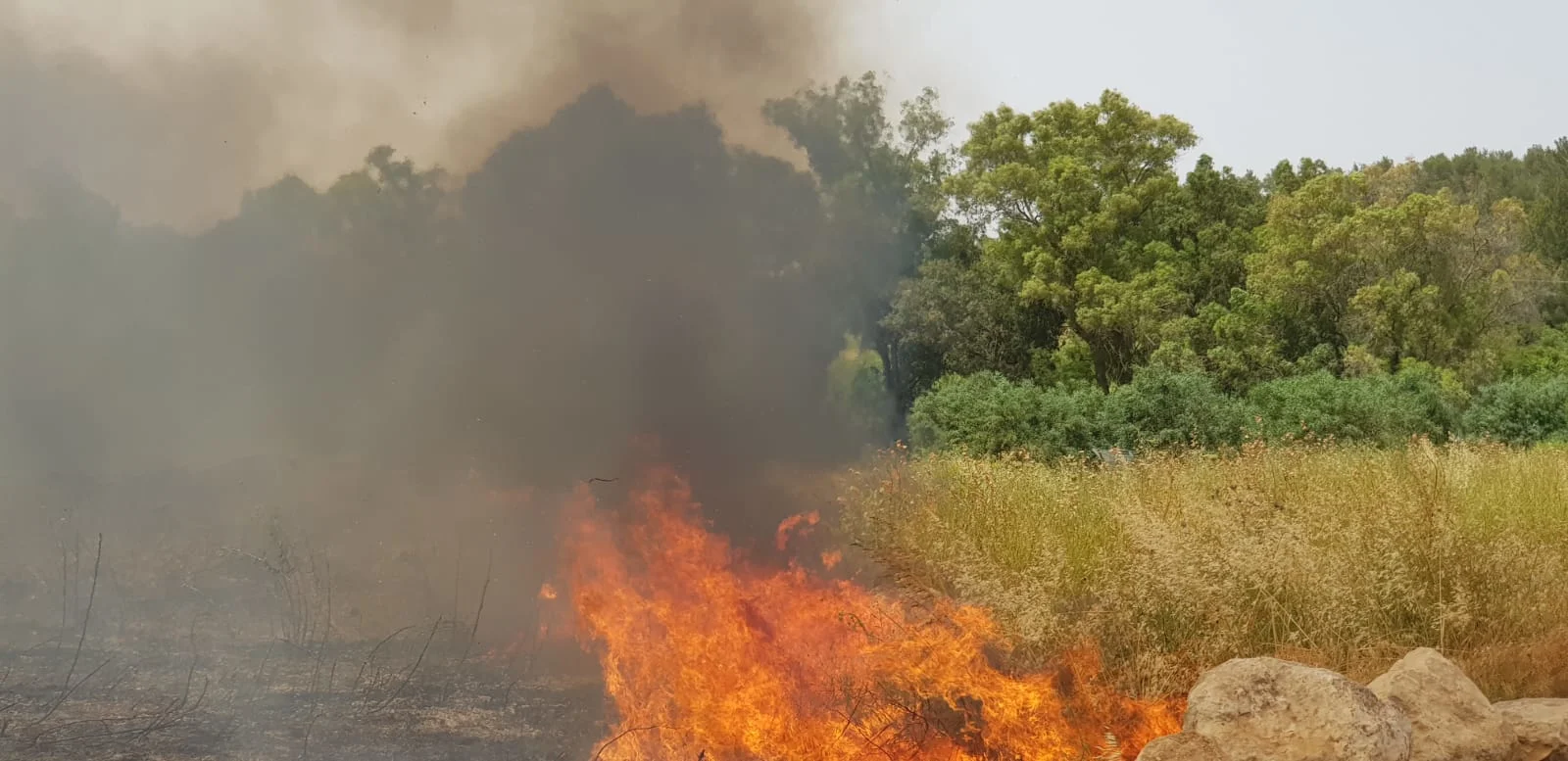 השריפה בכפר אוריה