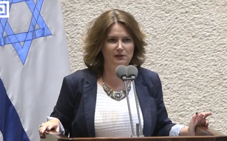 ח''כ מיכל רוזין