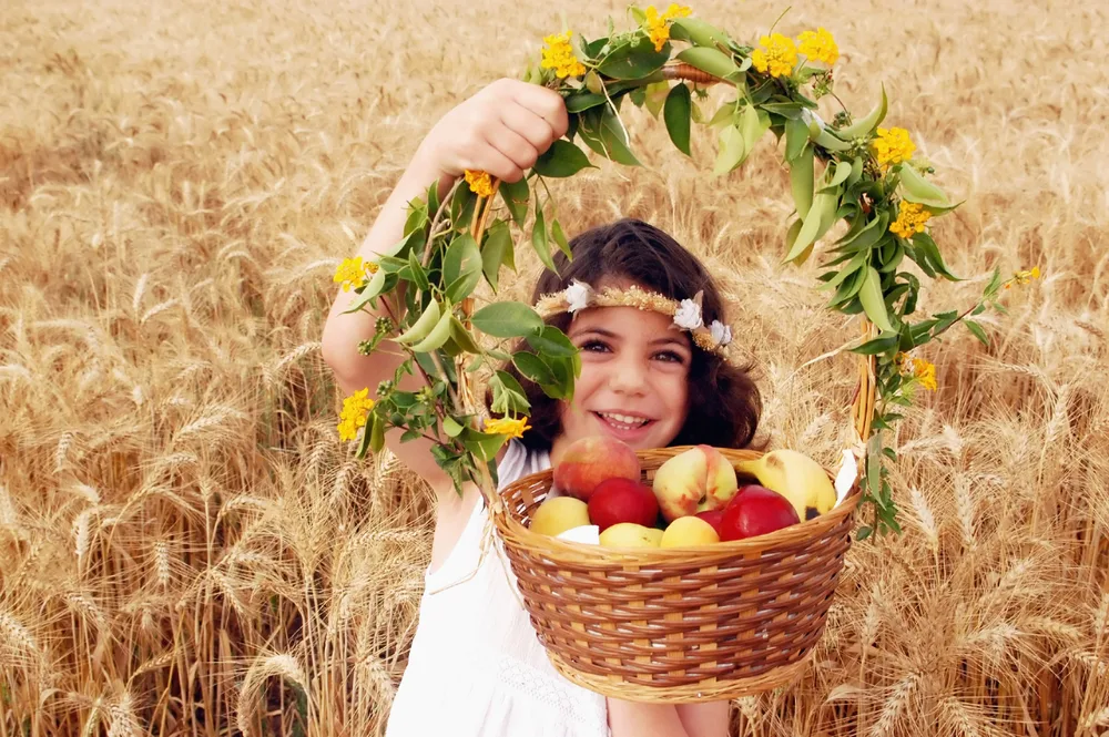פעוטה עם ביכורים בשדה שיבולים לכבוד חג השבועות