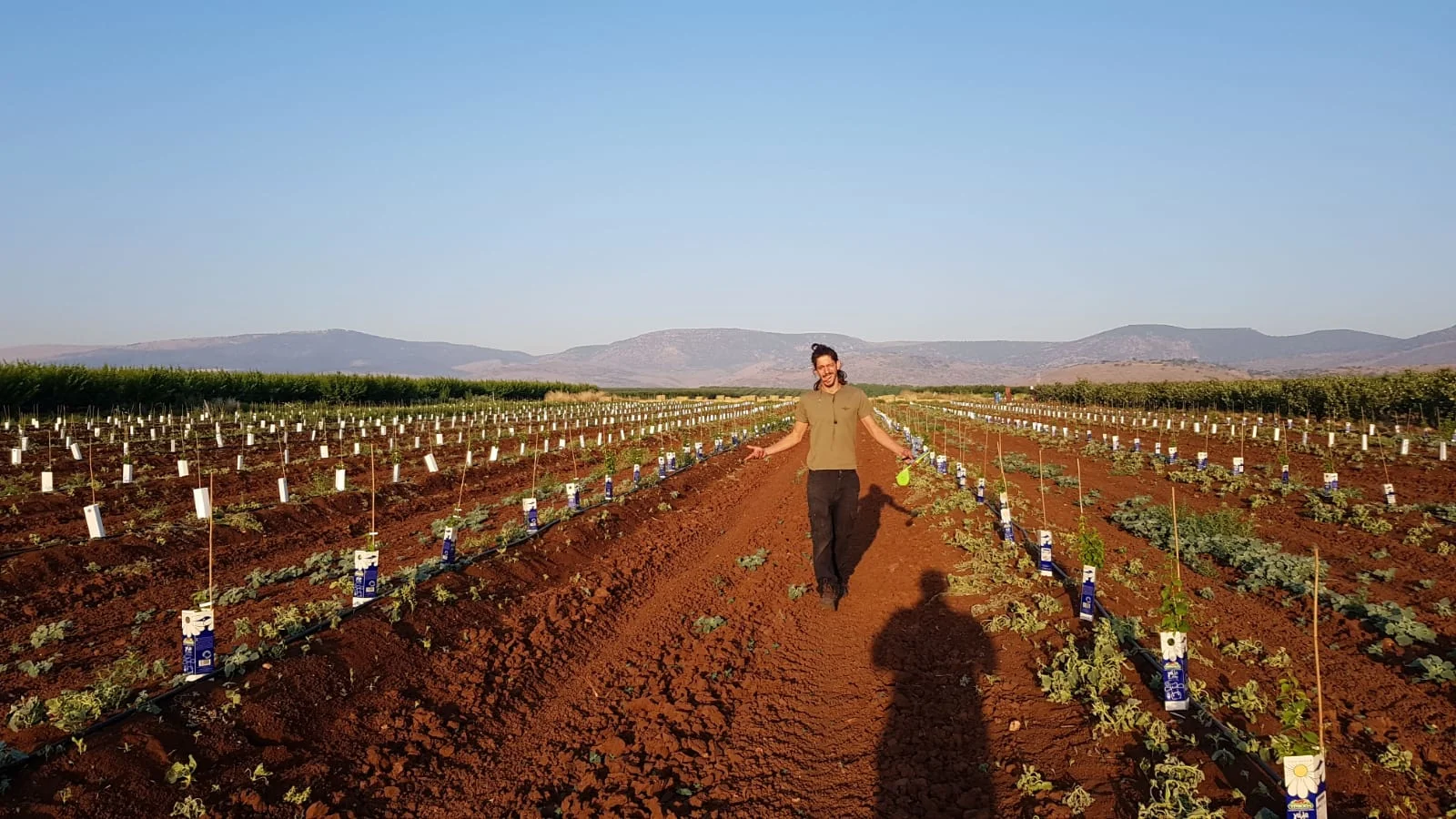 אמוץ פולנסקי