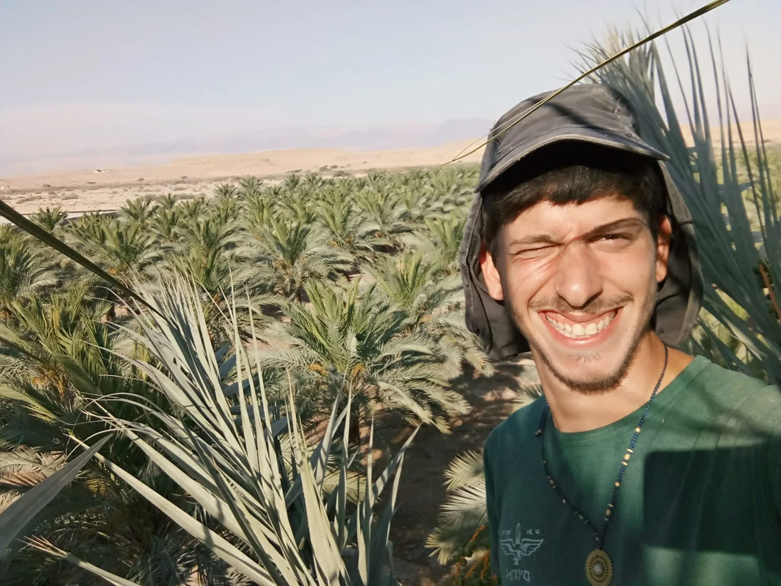 אמוץ פולנסקי