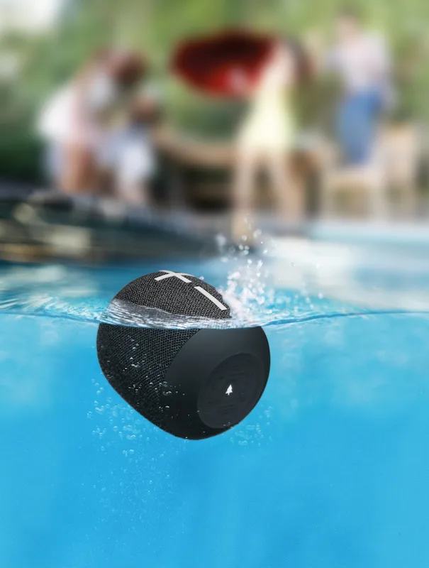 High Resolution Jpg Wonderboom