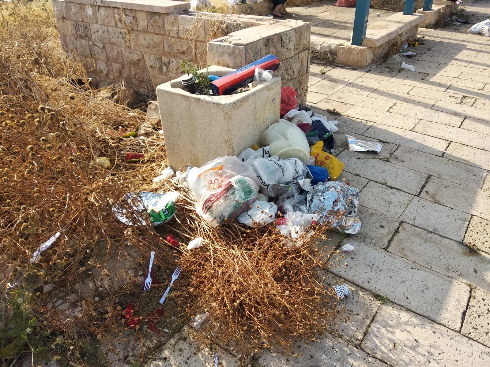 אשפה בחוף בצת
