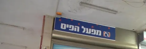 מפעל הפיס