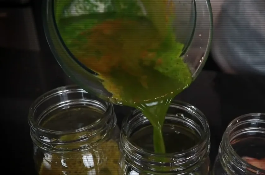 שייק לניקוי רעלים