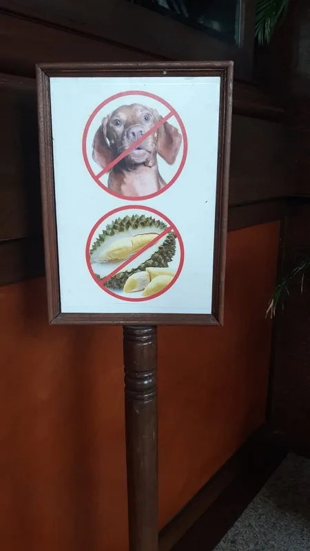 שילוט בתאילנד האוסר על הכנסת הפרי ''דוריאן''