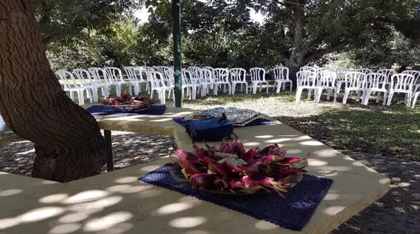 אצל אטל בחצר