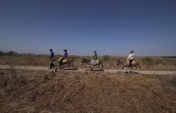 טיול חמורים בחאן אל-על