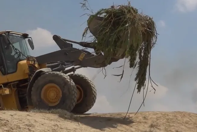 מחסלי הקנאביס בשטחי האש של צה''ל