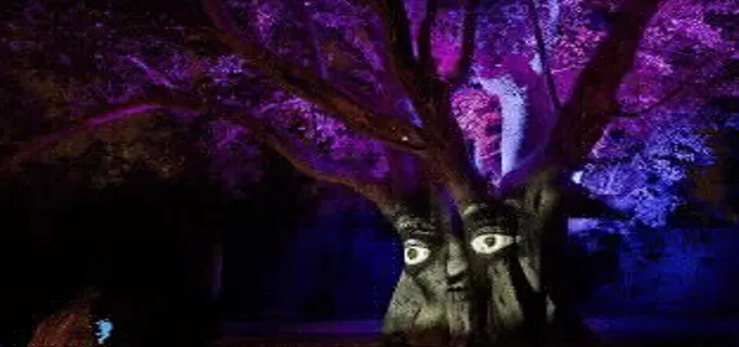 סיור לילי אור קולי בפארק הירדן