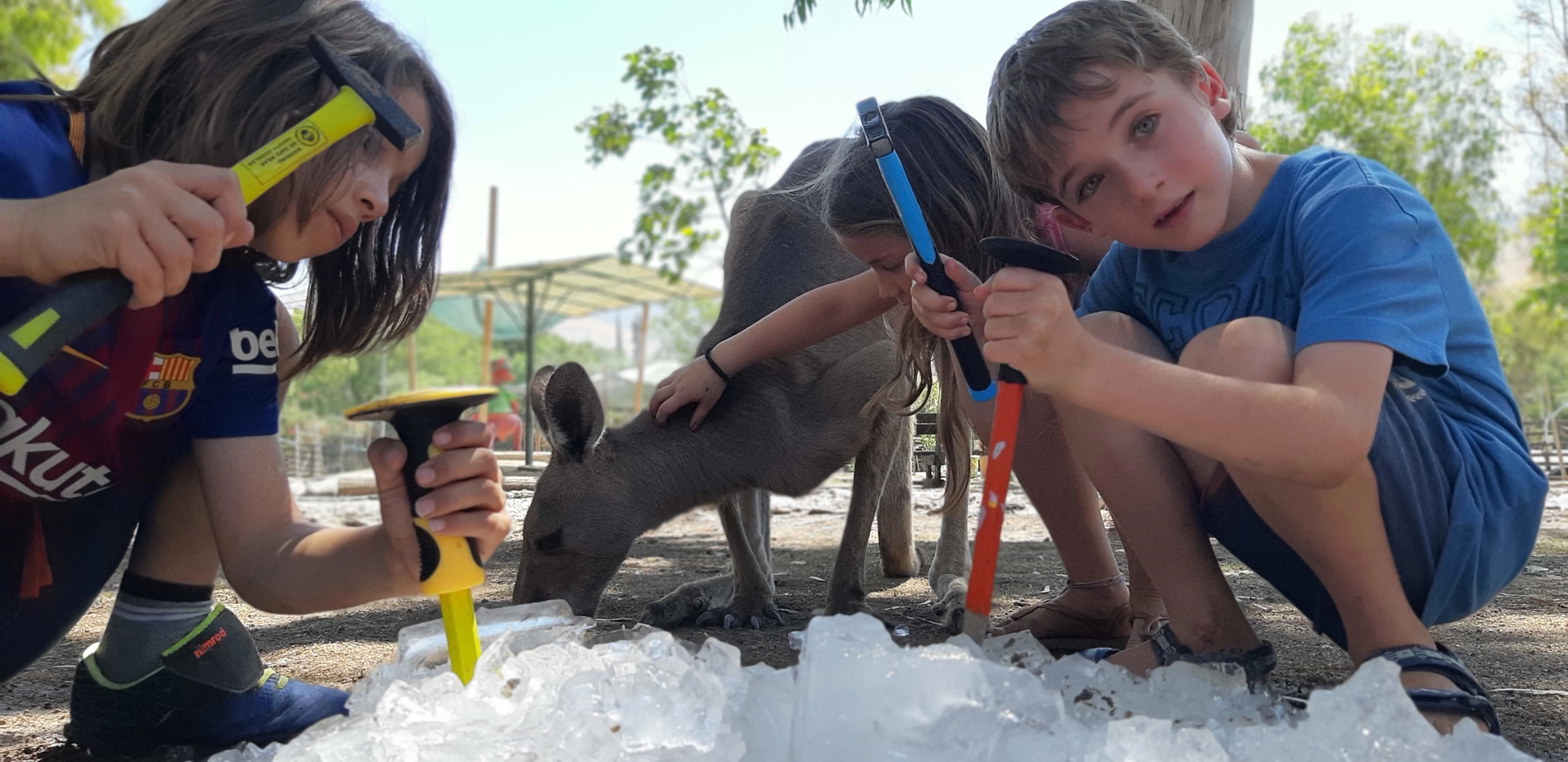 קרח באוגוסט בגן גורו