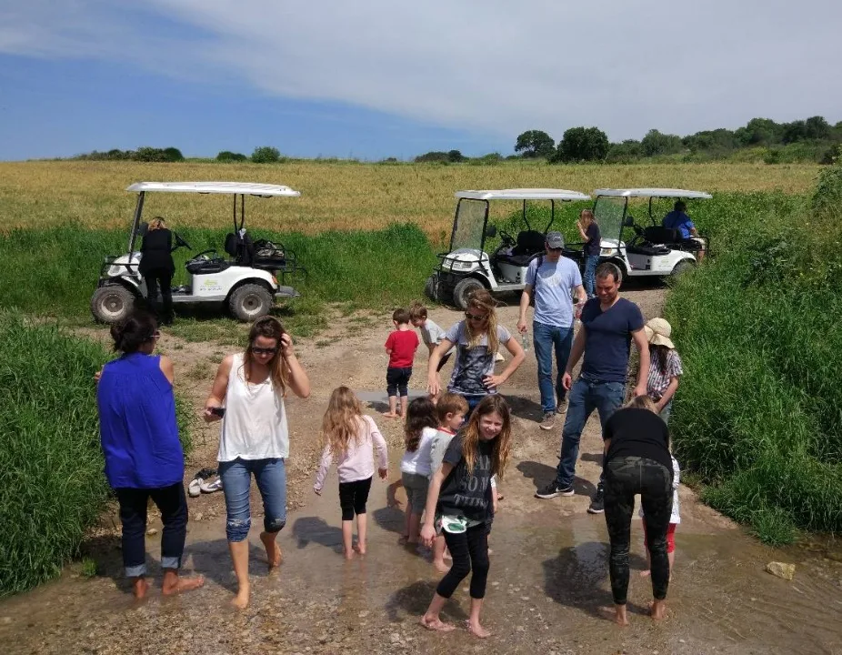 טוקטוק אלונה