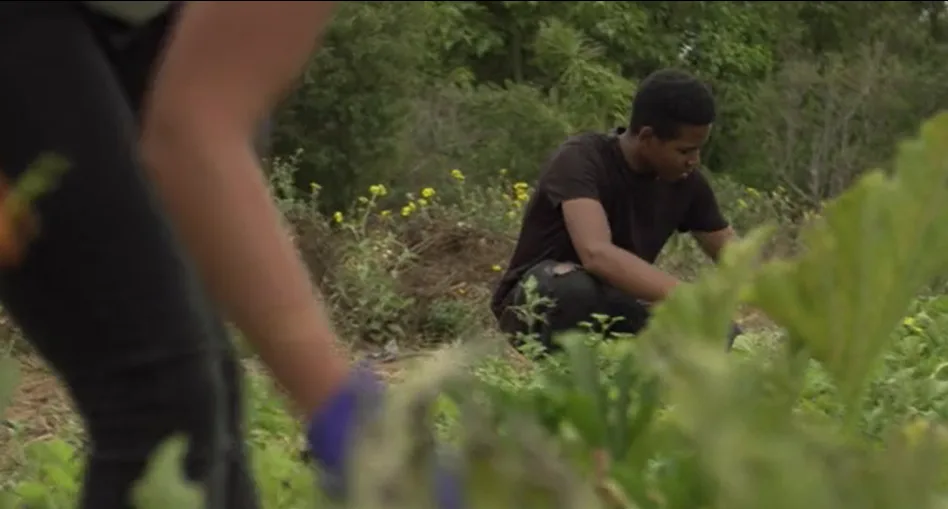 פרויקט ''נערי האור''