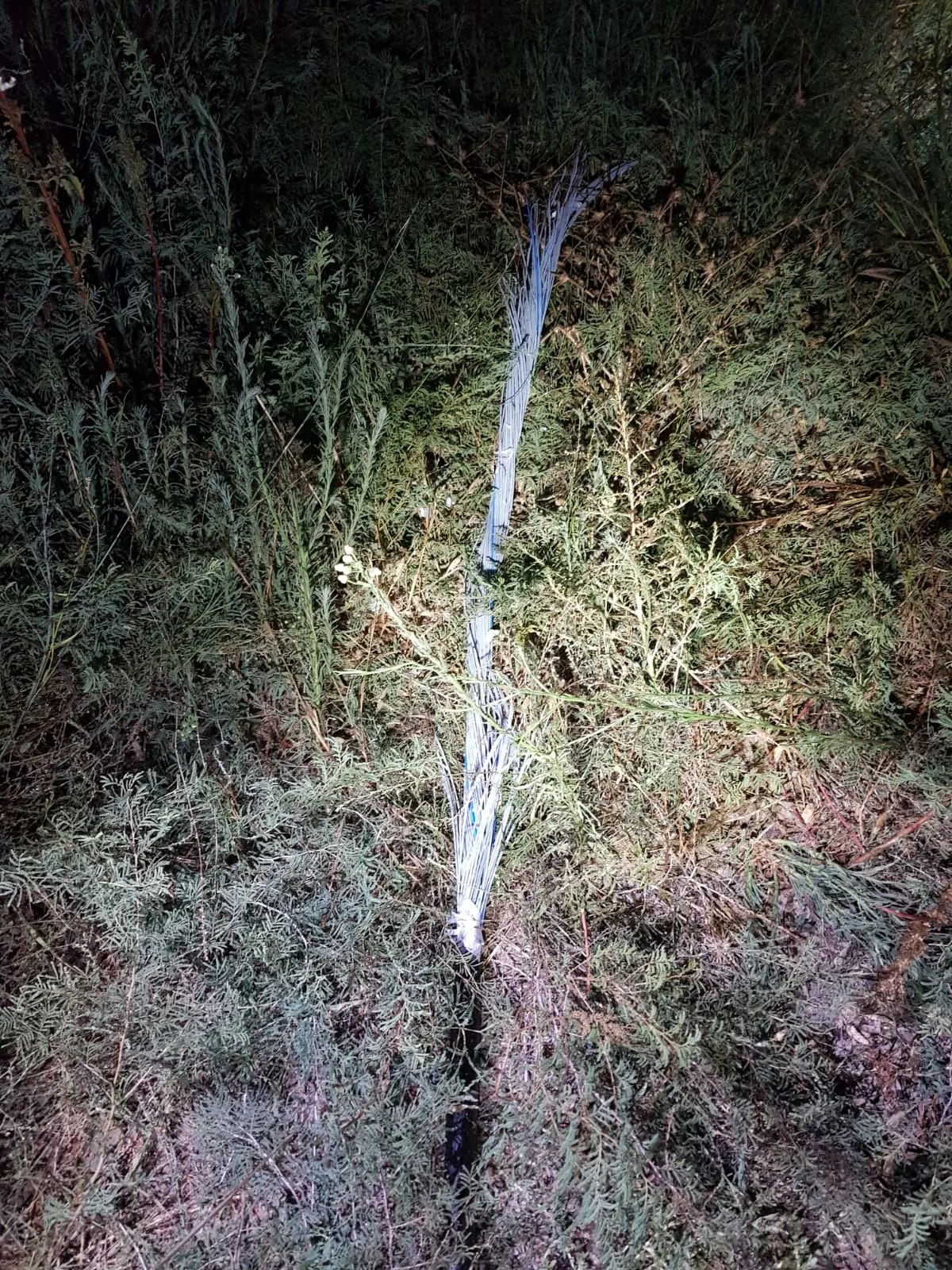 נזק נגרם למערכת האיתות הרכבתית, השומרת על בטיחות תנועת הרכבות