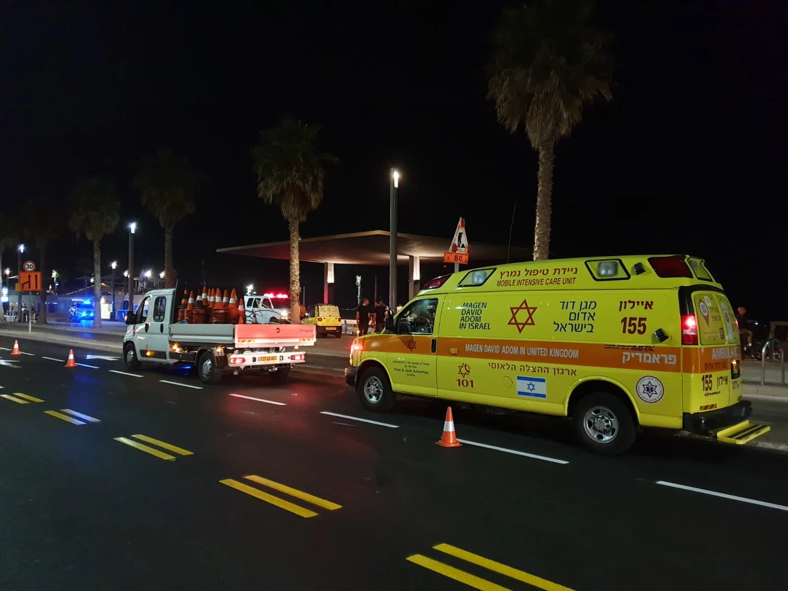 חיפושים אחר צעיר בחוף הדולפינריום