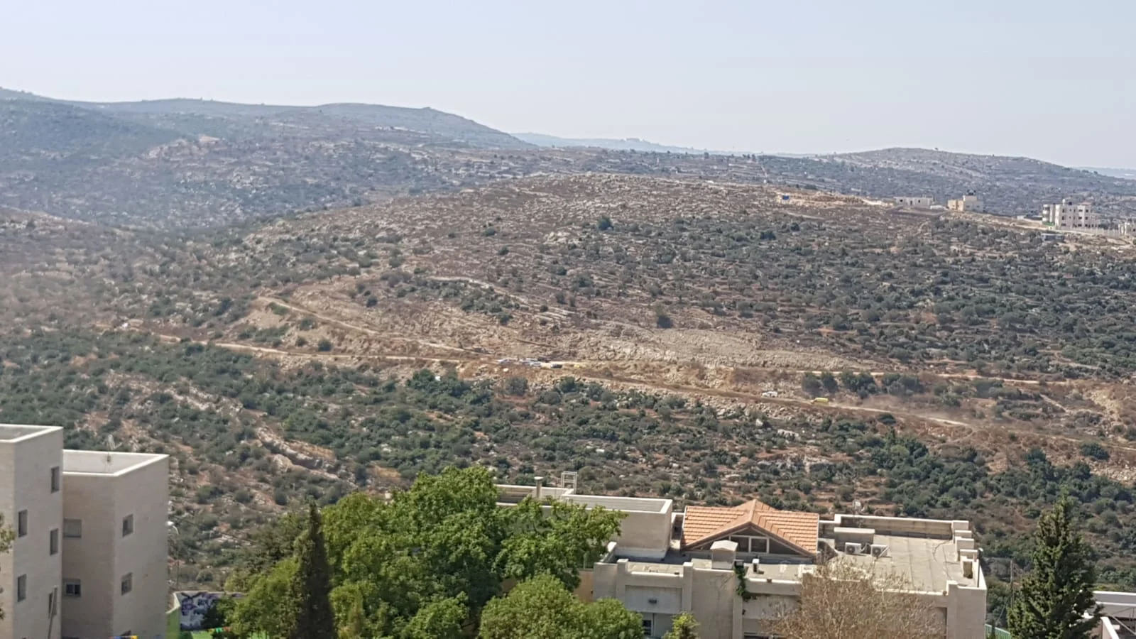 אזור הפיגוע בסמוך לדולב