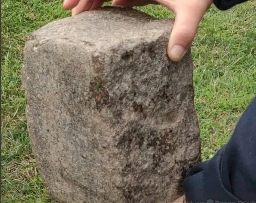 הלבנה שזרק התוקף על אברהם גופין