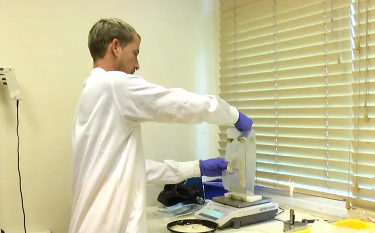 בדיקת מזון במעבדה