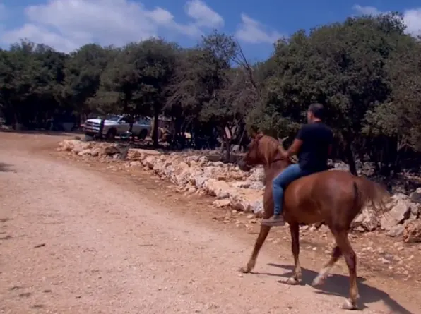 מיכה רגב, על הסוס שלו במצפה אבירים