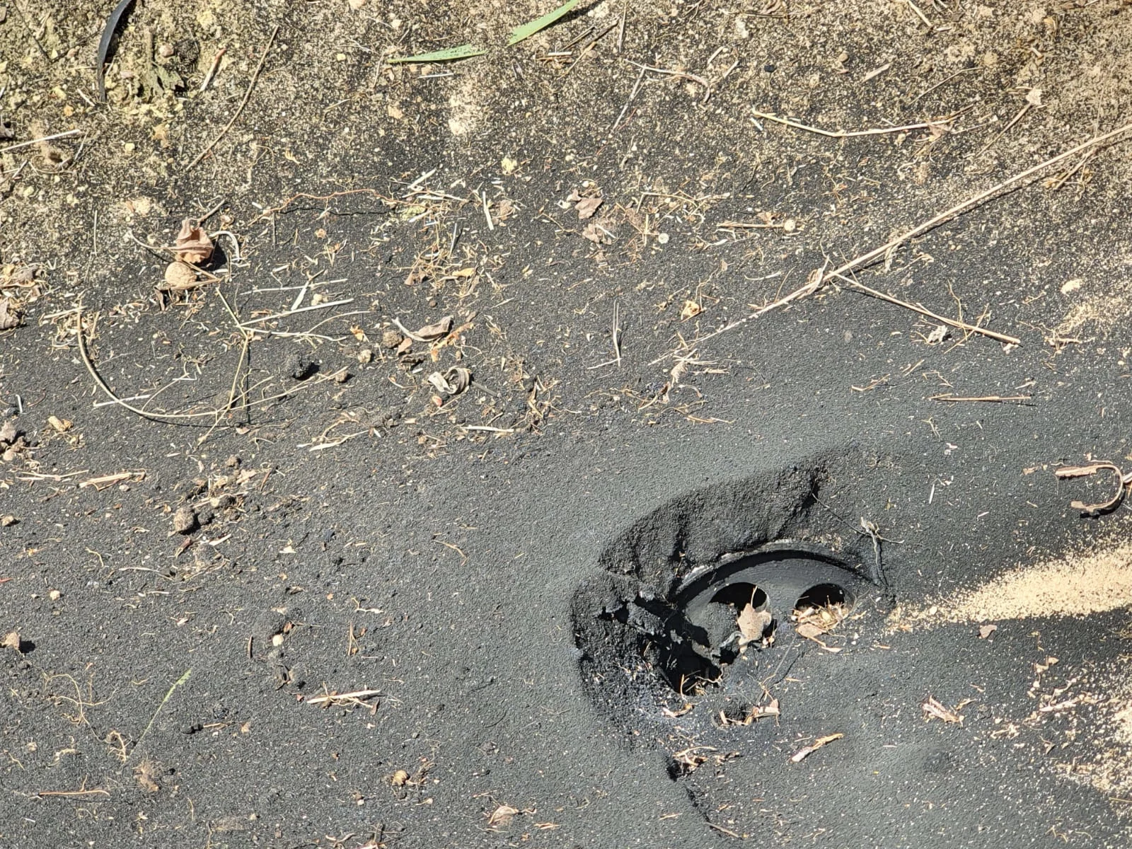 רקטה נחתה בחממה במועצה האזורית חוף אשקלון