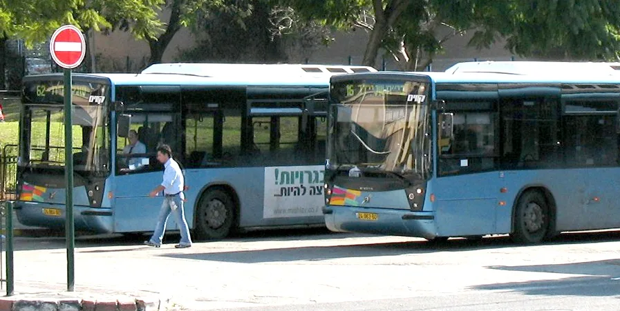 אוטובוסים של קווים