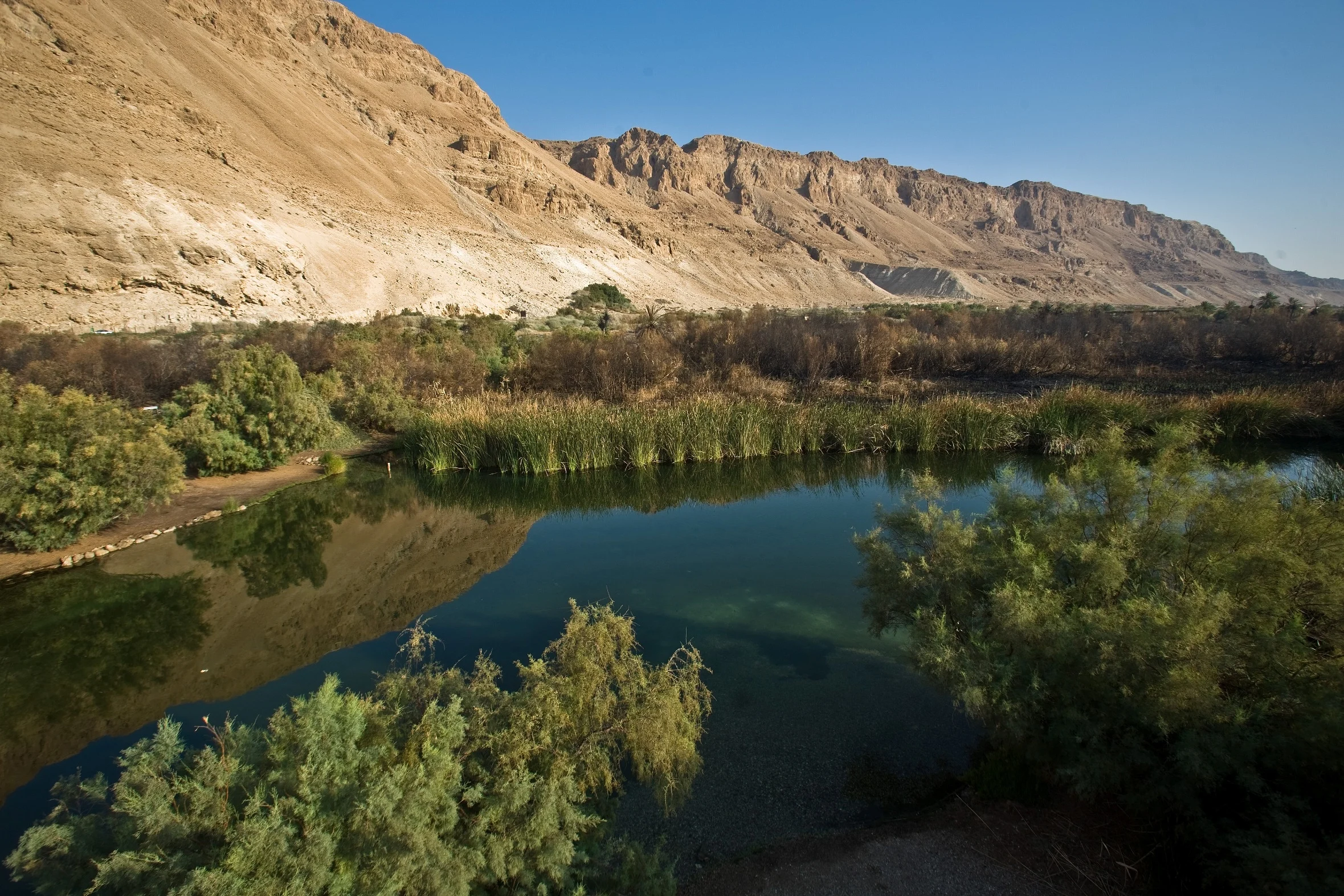 שמורת עינות צוקים