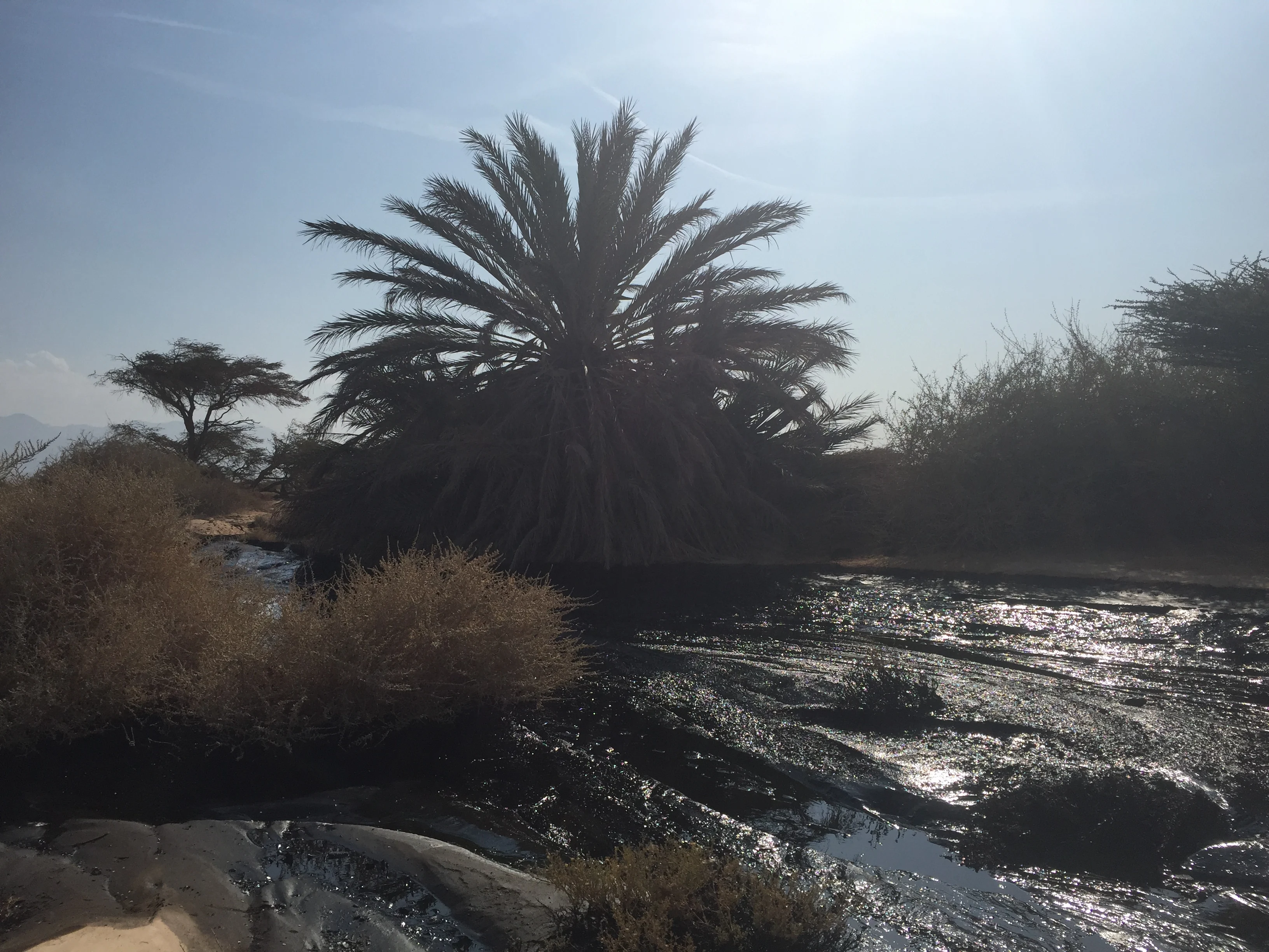 דליפת הנפט מצינור קצא''א באזור באר אורה
