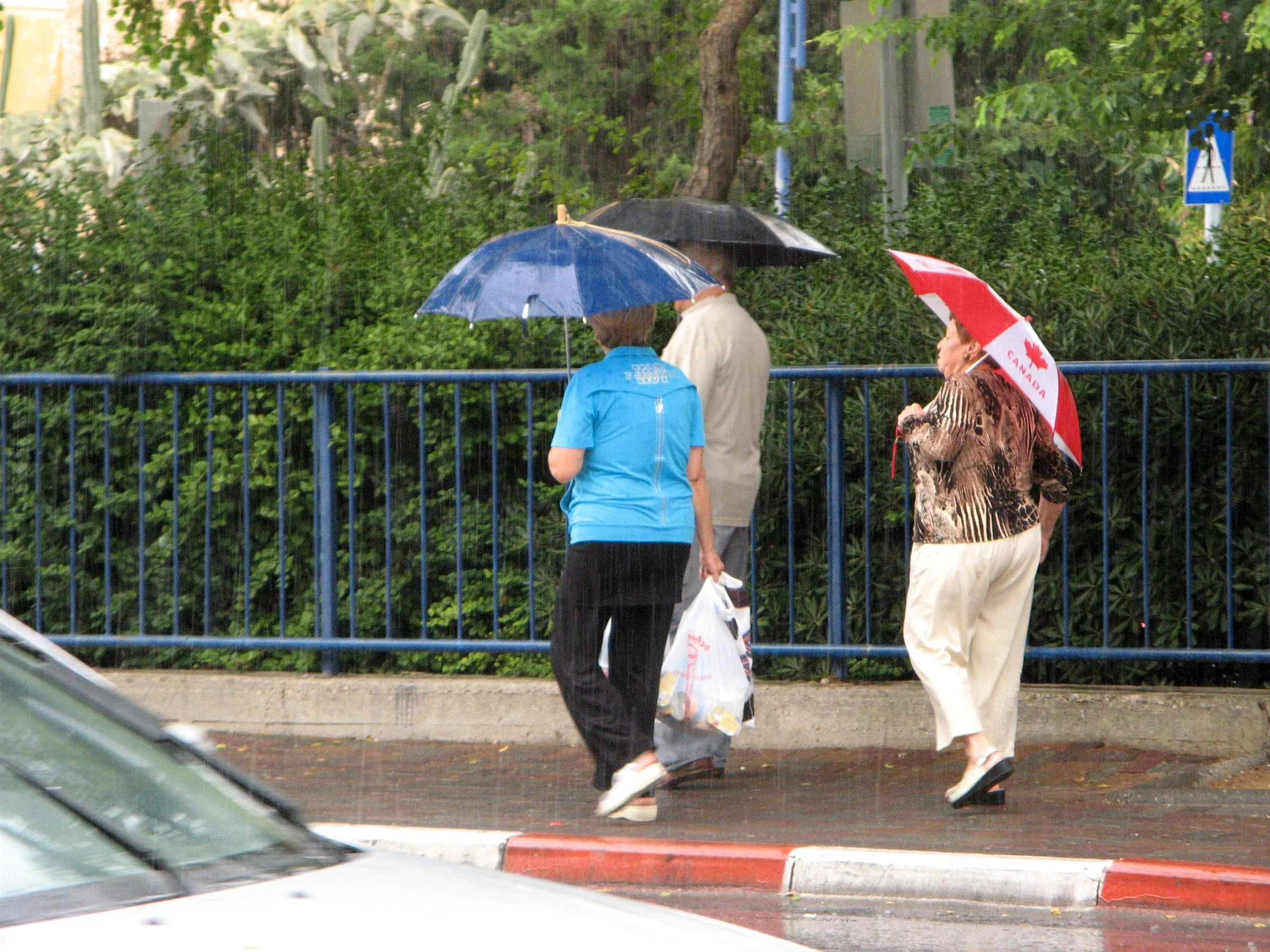 הגשם הראשון