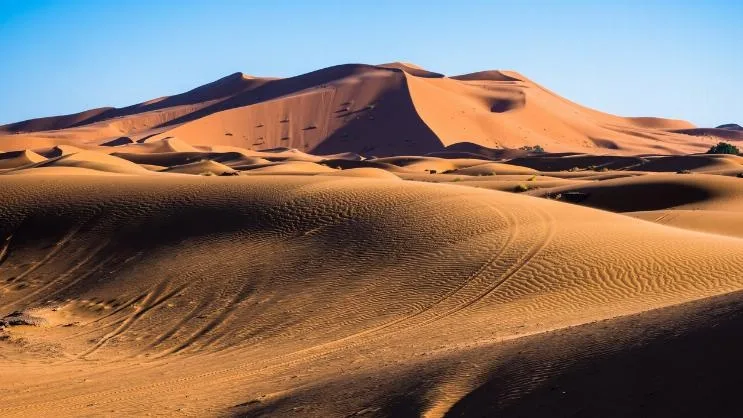 מדבר סהרה