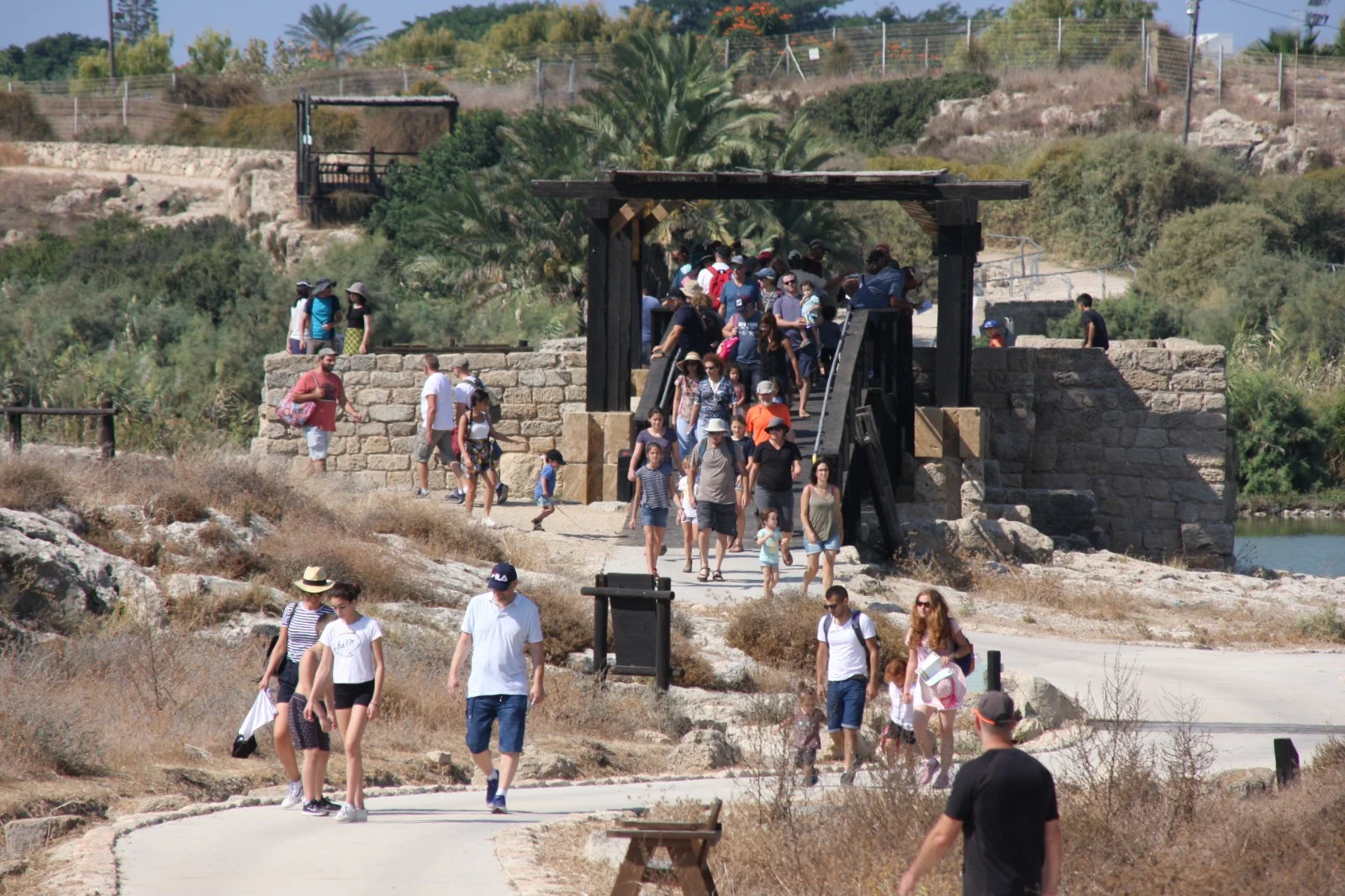 סיור בזויתן עליון רשות הטבע והגנים
