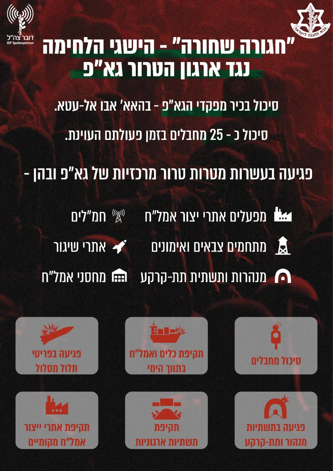 הישגי מבצע חגורה שחורה