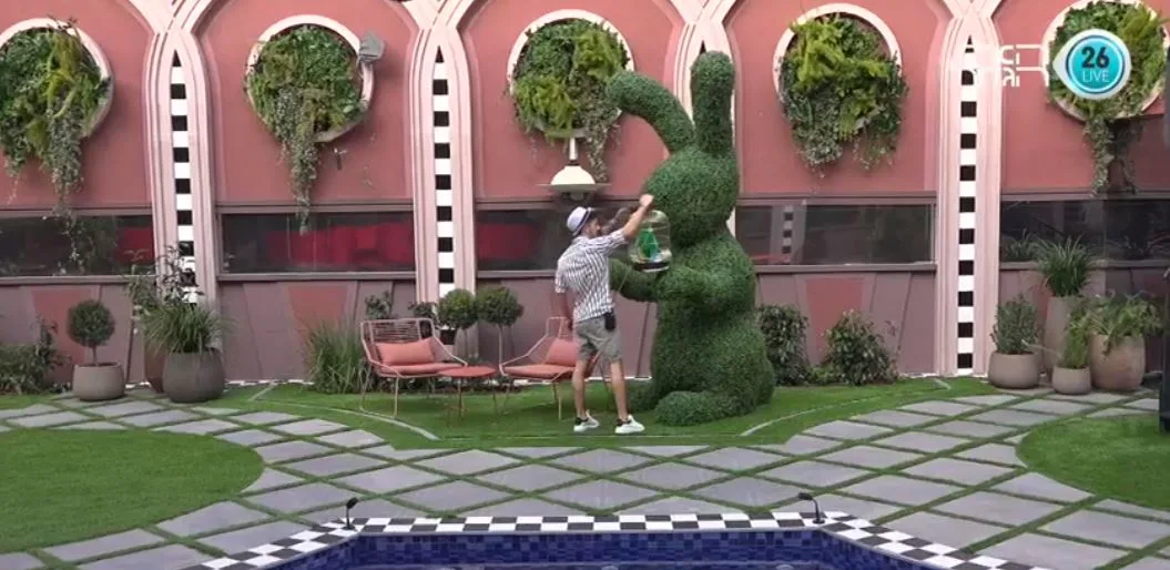 אלפרד התוכי ובני השפן מתחברים