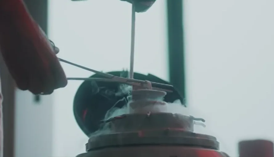 טרום-עוברים קפואים