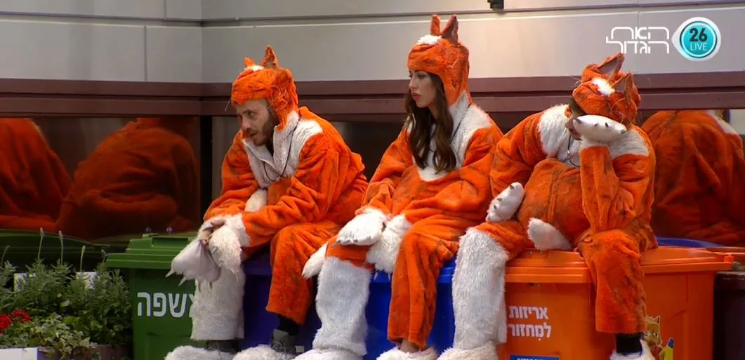 חתולים על גג פח לוהט