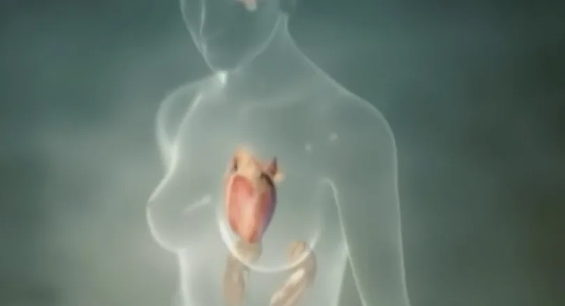 תסמונת הלב השבור