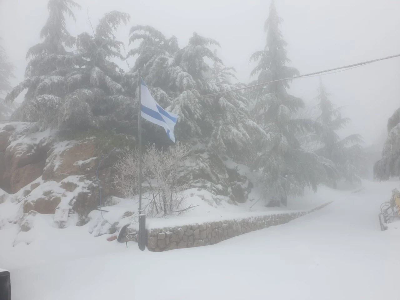 Whatsapp Image 2020 02 08 At 1