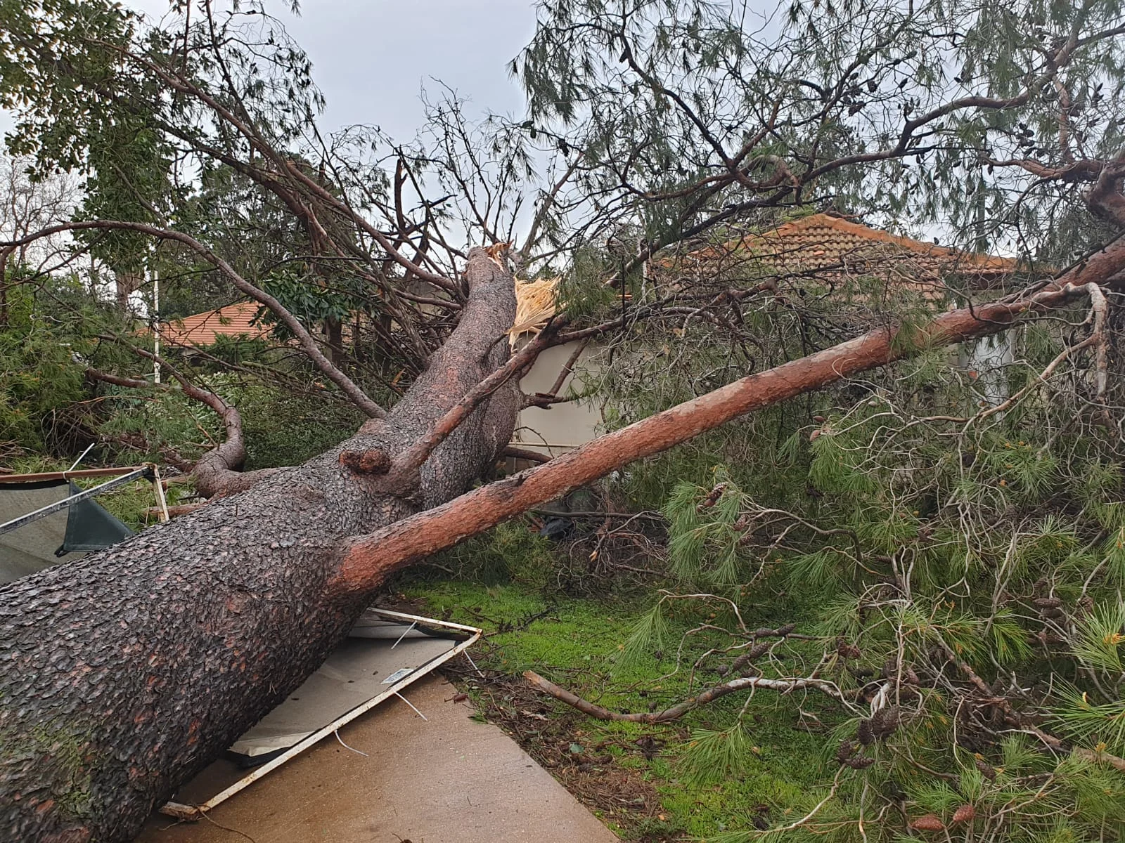 מזג אוויר, חורף, סערה, סופה