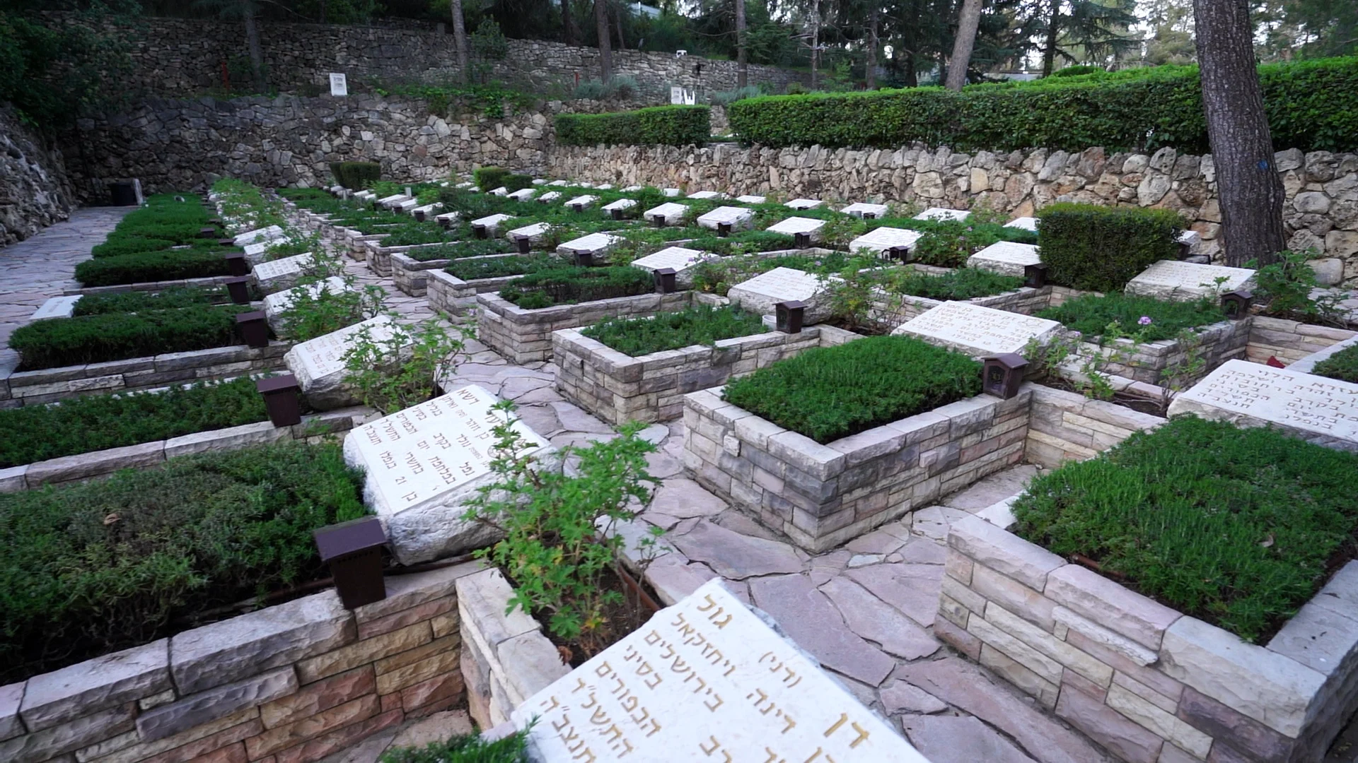 הר הרצל