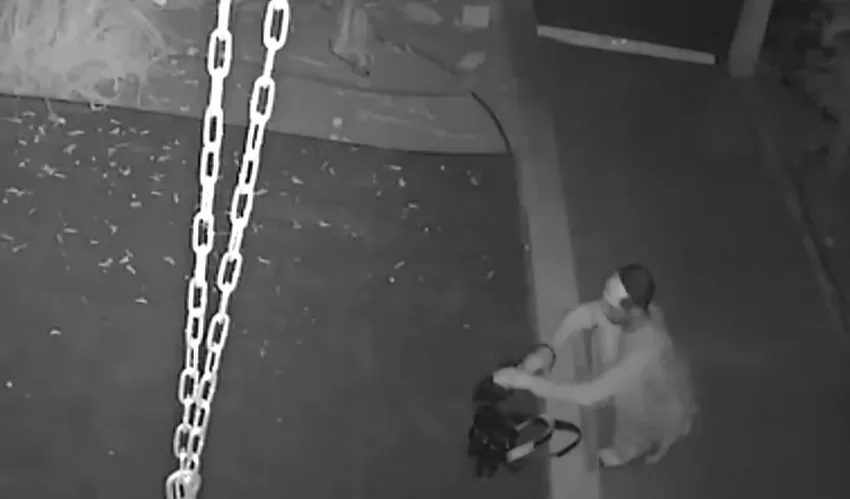 הפריצה לביתה של נטלי דדון