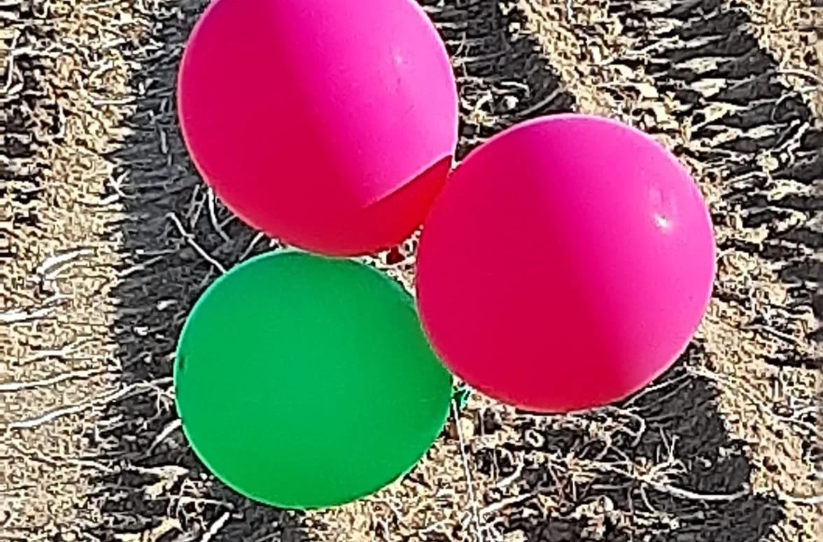 צרור בלונים עם מטען חשוד שנמצא במושב ליד אופקים