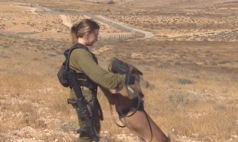 התרגיל בצה''ל שינסה לתת מענה למכת הגניבות מבסיסים צבאיים בנגב