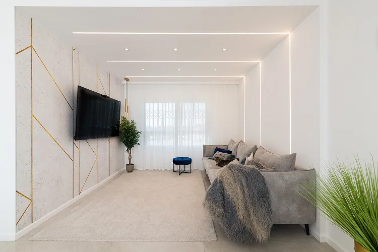 עיצוב פנים מדעי