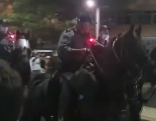 פרשים בהפגנה בכיכר הבימה בתל אביב